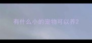 有什么小的宠物可以养