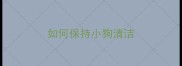 如何保持小狗清洁