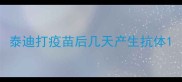 泰迪打疫苗后几天产生抗体