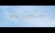 猫咪打三联多少钱