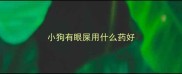 小狗有眼屎用什么药好