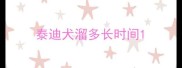 泰迪犬溜多长时间