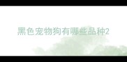 黑色宠物狗有哪些品种