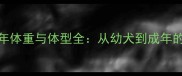 哈士奇成年体重与体型全从幼犬到成年的成长密码