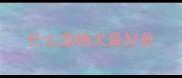 什么宠物犬最好养