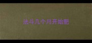 法斗几个月开始肥