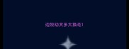 边牧幼犬多大换毛