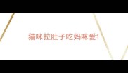猫咪拉肚子吃妈咪爱