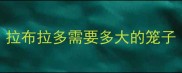 拉布拉多需要多大的笼子
