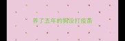 养了五年的狗没打疫苗