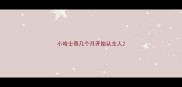 小哈士奇几个月开始认主人