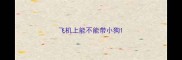 飞机上能不能带小狗