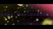 哈士奇混血犬种全网红冰山脸的智商排名与饲养指南