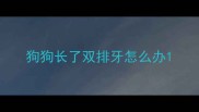 狗狗长了双排牙怎么办