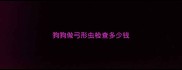 狗狗做弓形虫检查多少钱
