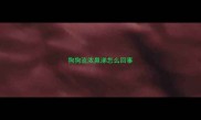 狗狗流浓鼻涕怎么回事