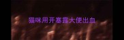 猫咪用开塞露大便出血