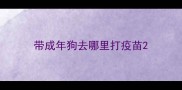 带成年狗去哪里打疫苗