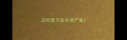 边牧夏天脱毛很严重