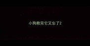 小狗教完它又忘了