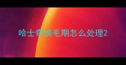 哈士奇换毛期怎么处理