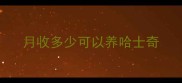 月收多少可以养哈士奇