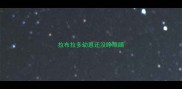 拉布拉多幼崽还没睁眼睛