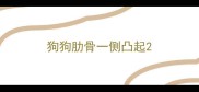 狗狗肋骨一侧凸起