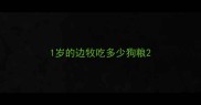 1岁的边牧吃多少狗粮