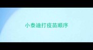 小泰迪打疫苗顺序