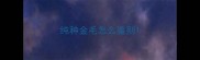 纯种金毛怎么鉴别