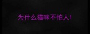 为什么猫咪不怕人