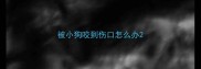 被小狗咬到伤口怎么办