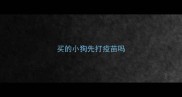 买的小狗先打疫苗吗