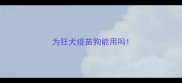 为狂犬疫苗狗能用吗