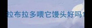 拉布拉多喂它馒头好吗