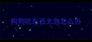 狗狗吃东西太急怎么办