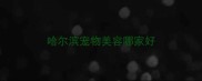 哈尔滨宠物美容哪家好