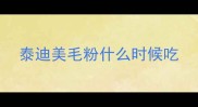 泰迪美毛粉什么时候吃