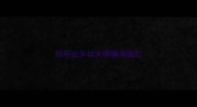 拉布拉多幼犬眼睛周围红