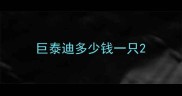 巨泰迪多少钱一只