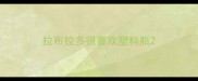 拉布拉多很喜欢塑料瓶