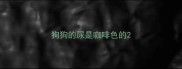 狗狗的尿是咖啡色的