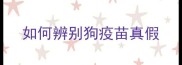 如何辨别狗疫苗真假