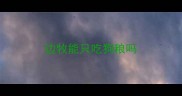 边牧能只吃狗粮吗