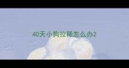 40天小狗拉稀怎么办