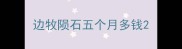 边牧陨石五个月多钱