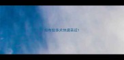 拉布拉多犬快速亲近