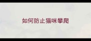 如何防止猫咪攀爬