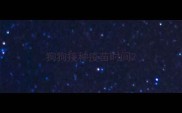 狗狗接种疫苗时间